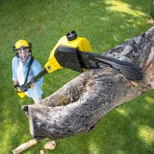 Best Tree and Shrub Care  in Hebron, IL