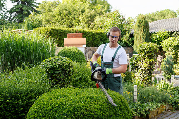 Lawn Grading and Leveling